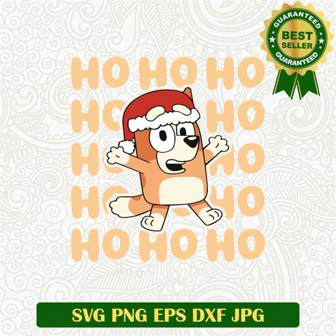 Bluey Bathing Suit For Boys Bluey SVG