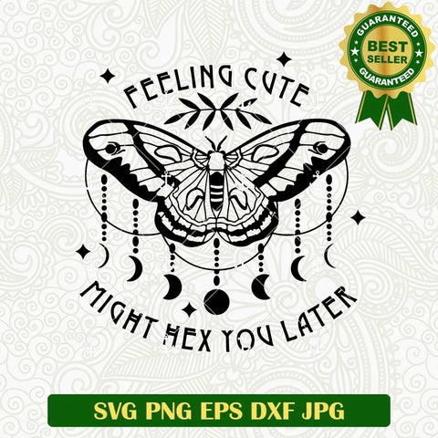 Feeling cute Might Hex you Later SVG
