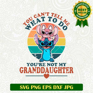 Granddaughter Stitch Vintage SVG