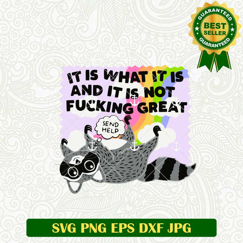 It Is What It Is And It Is Not Fucking Great SVG