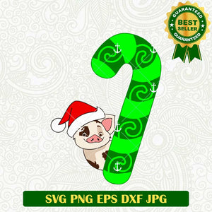 Moana Pig Pua Christmas SVG