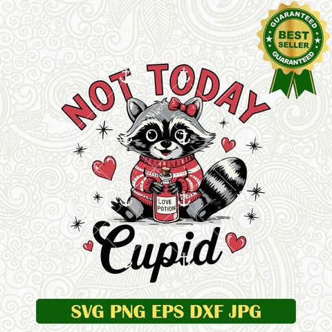 Not Today Cupid Raccoon SVG
