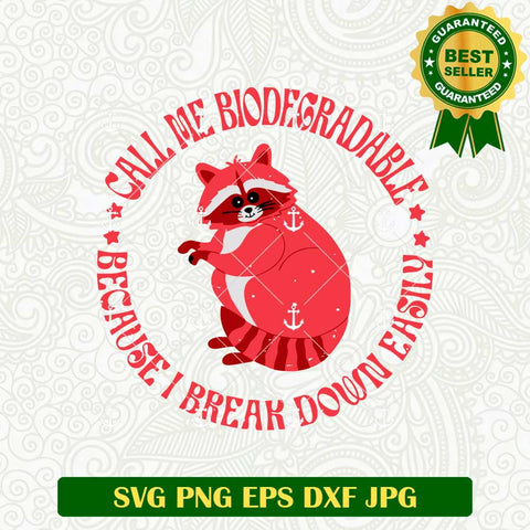 Raccoon Meme SVG