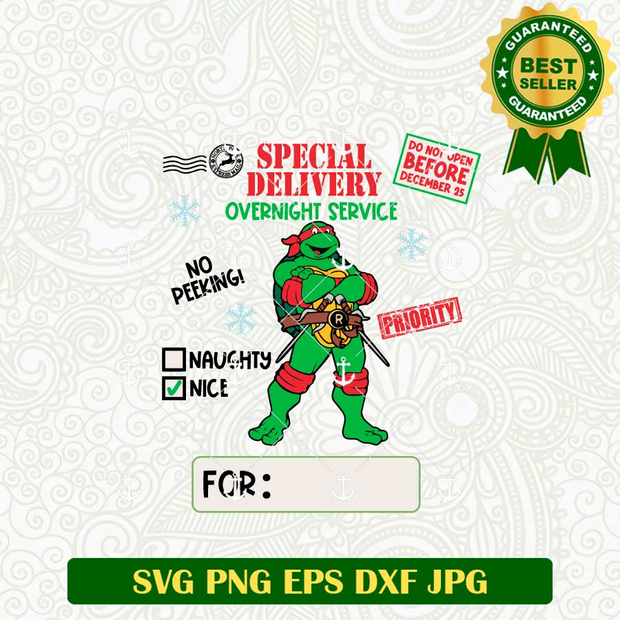 Special Delivery Ninja Turtle SVG