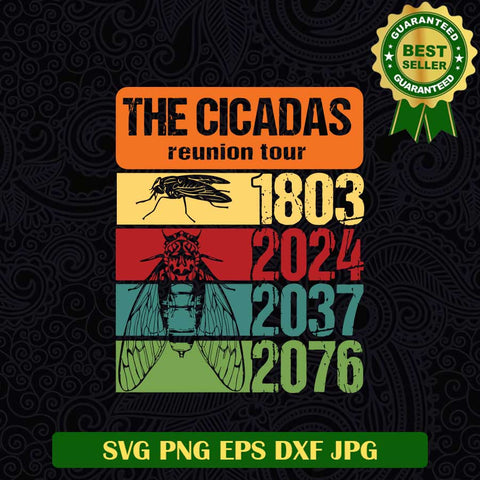 The Cicadas Reunion Tour 2024 2037 2076 SVG, Cicadas vintage tour SVG PNG