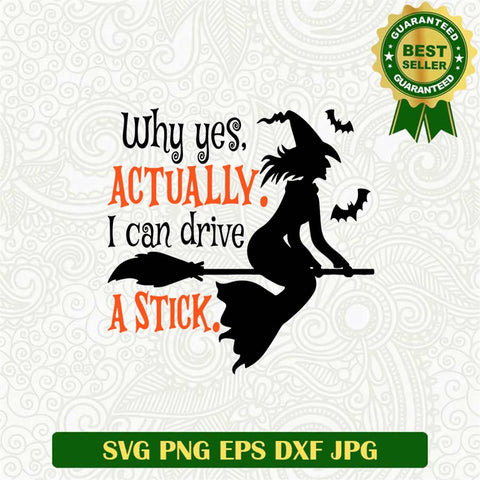 Why Yes Actually i Can Drive a Stick SVG