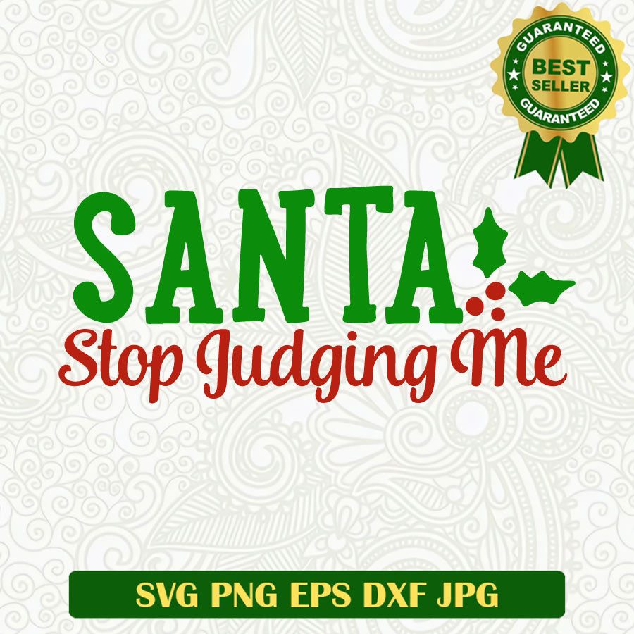 Santa stop judging me SVG, Christmas santa quotes funny SVG, Christmas SVG cricut