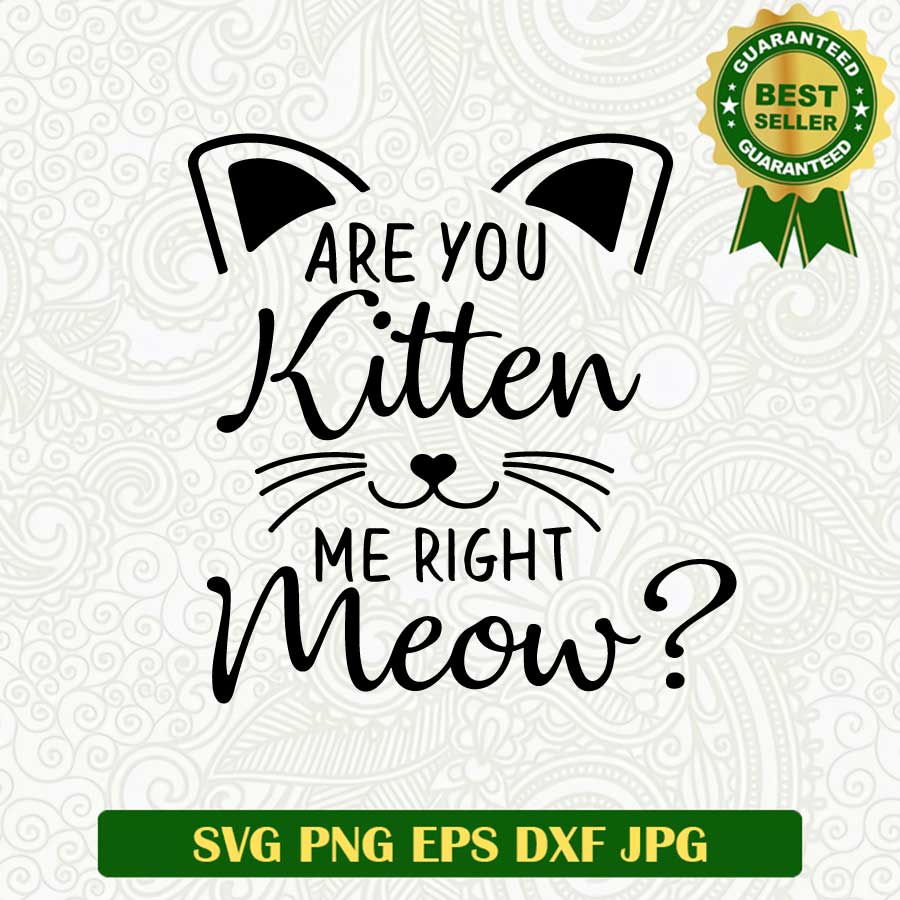 Are you kitten me right meow SVG, Kitten meow SVG, Cat lovers SVG PNG cut file
